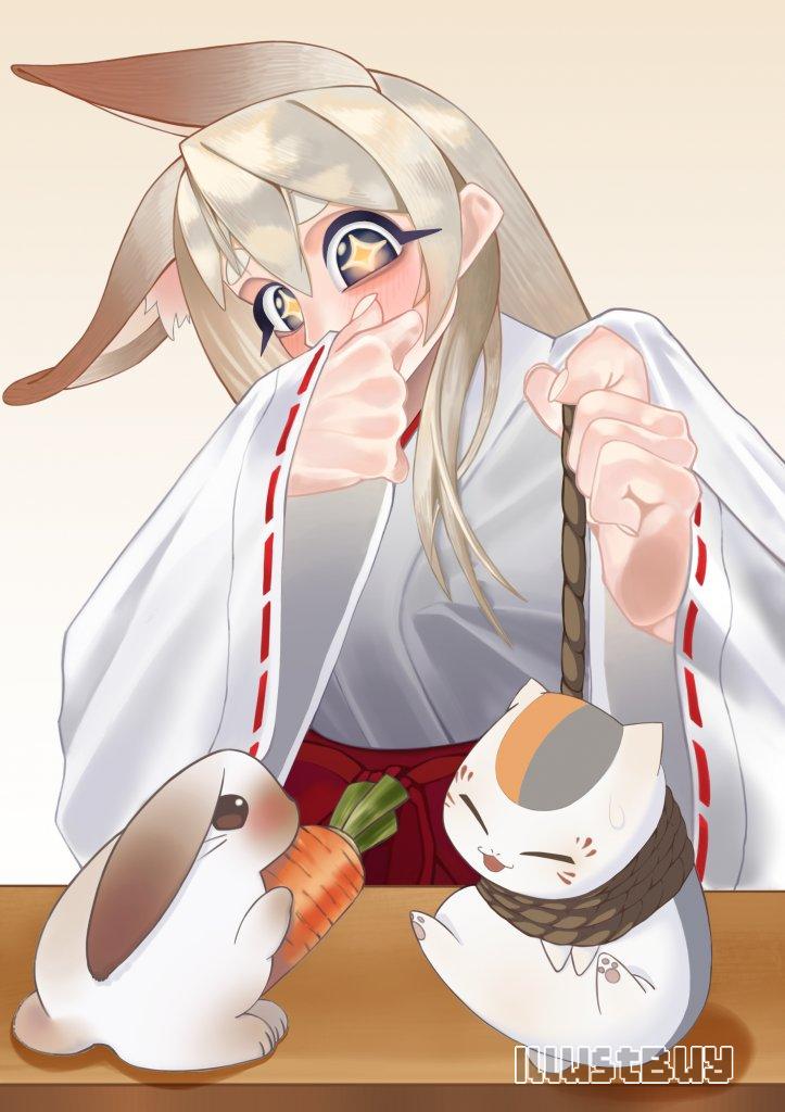 貓咪老師