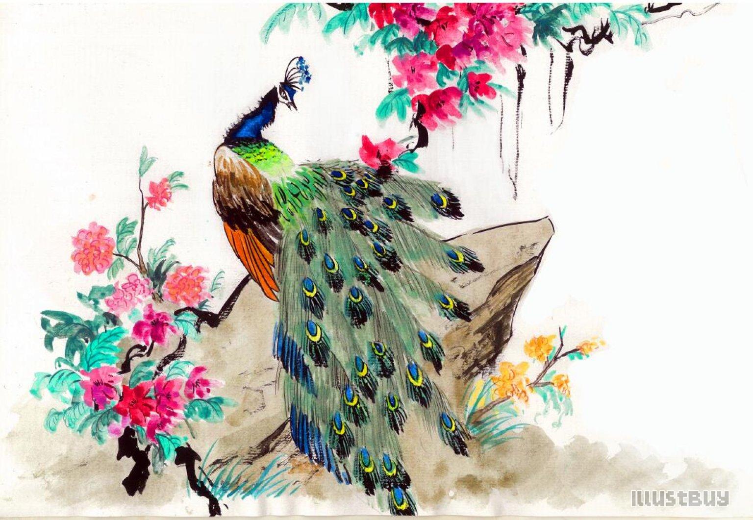 國畫水墨畫孔雀花下圖 国画水墨画孔雀花下图ink painting peacock