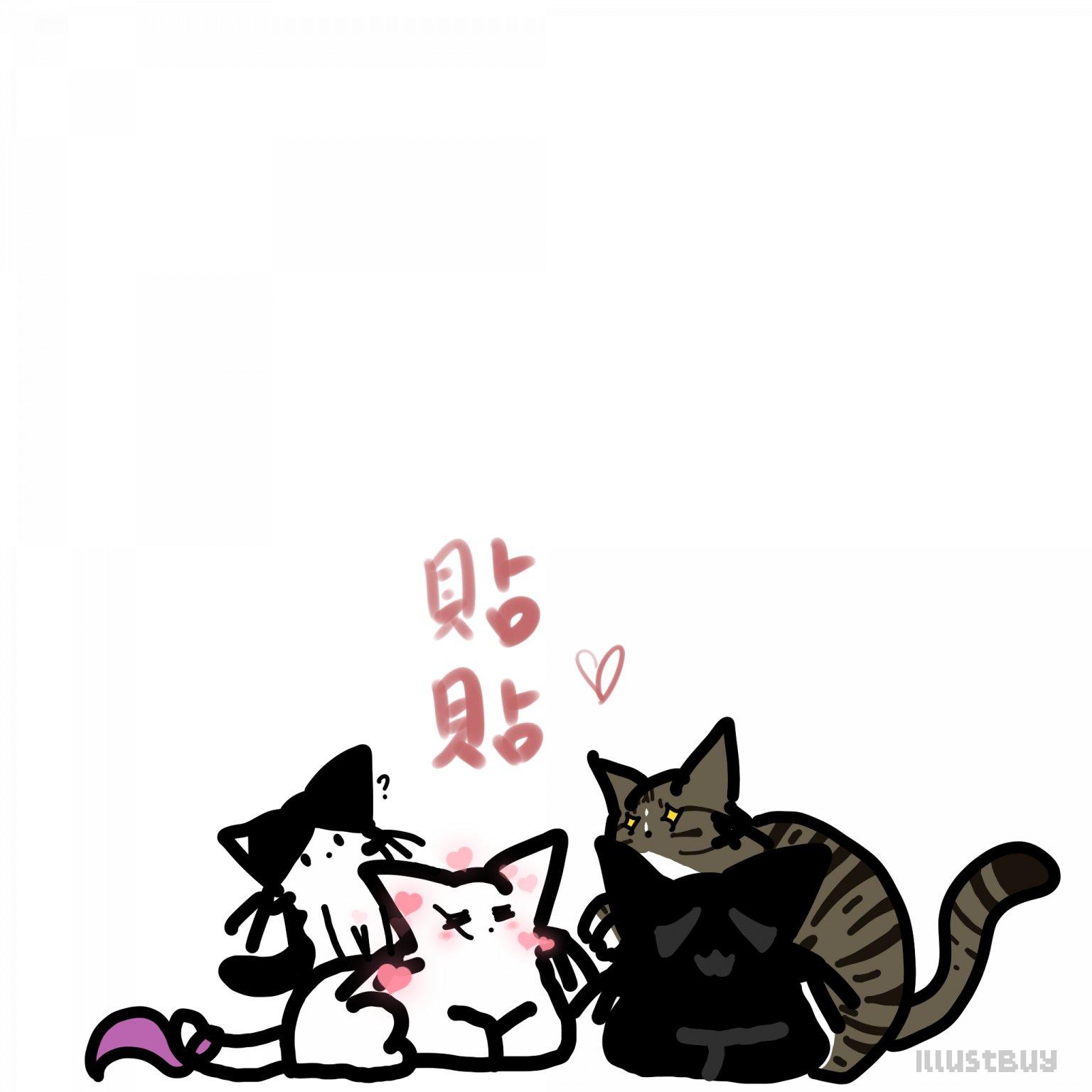 🐱
