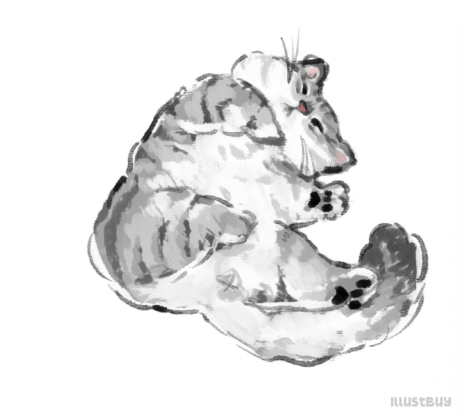 貓