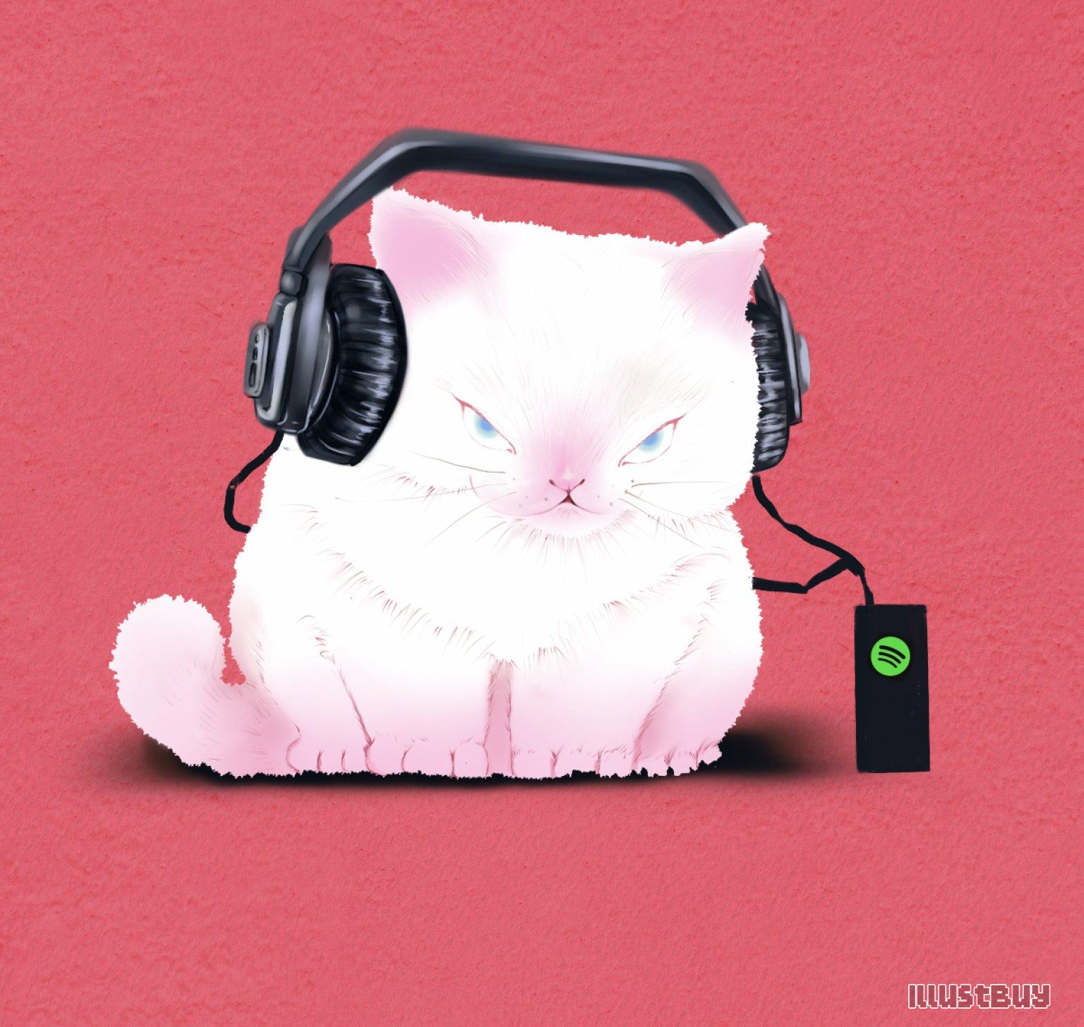 音樂貓