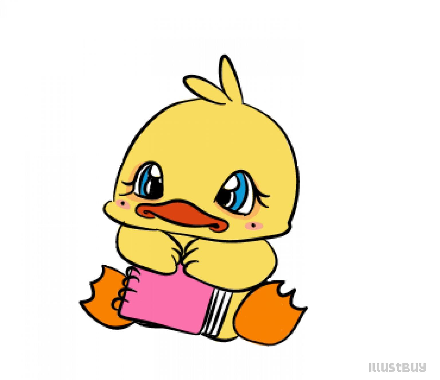 Duck