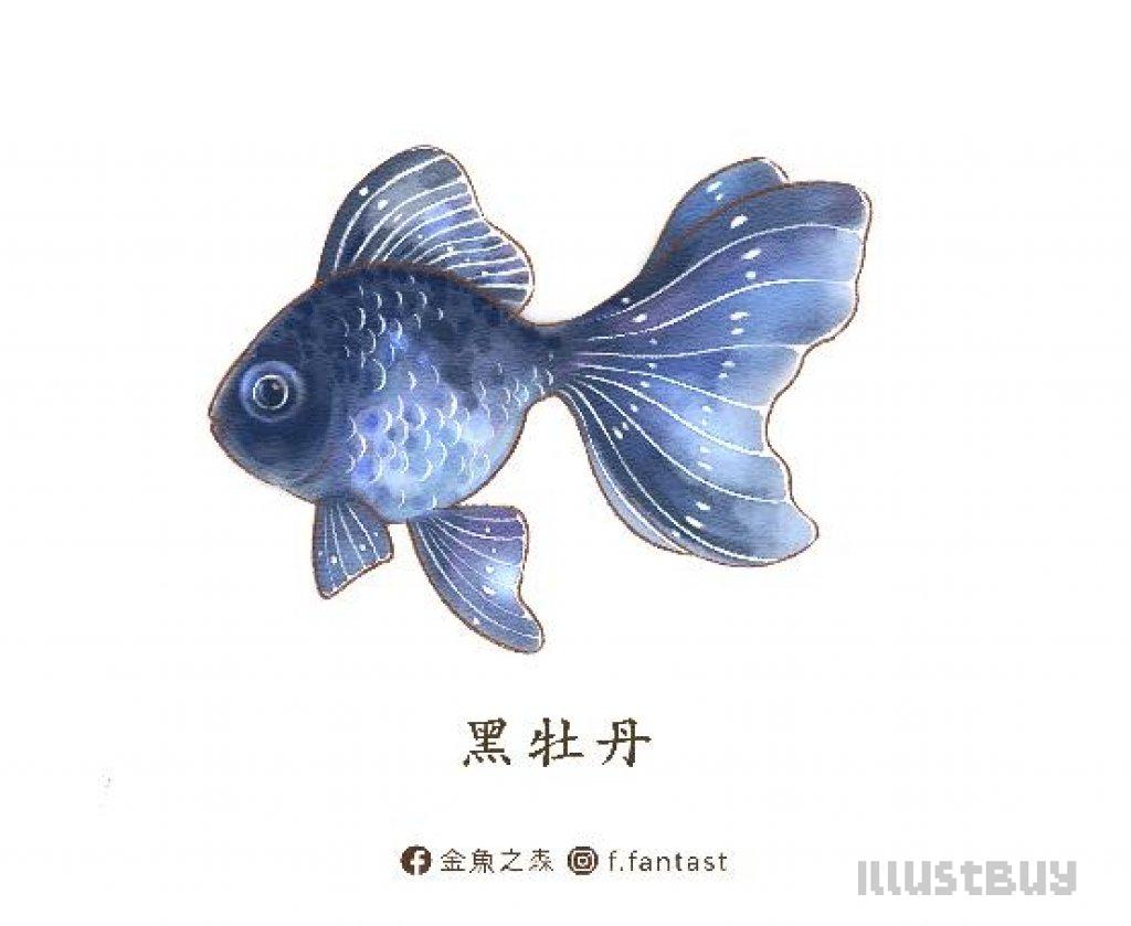 黑金魚