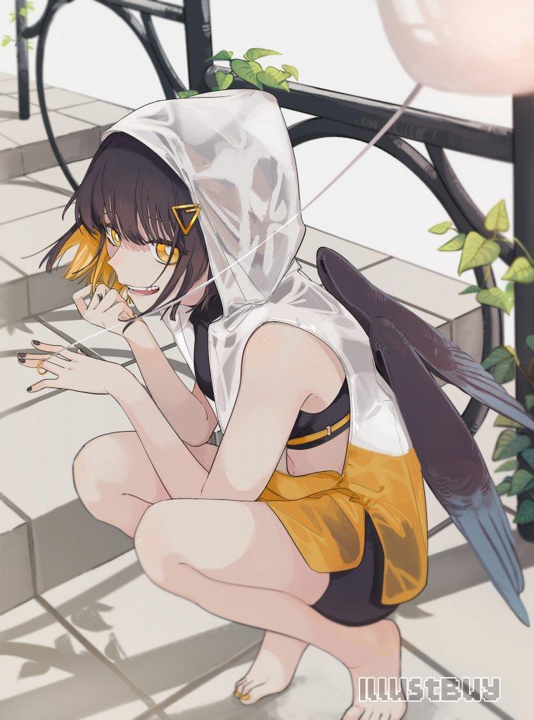 八哥