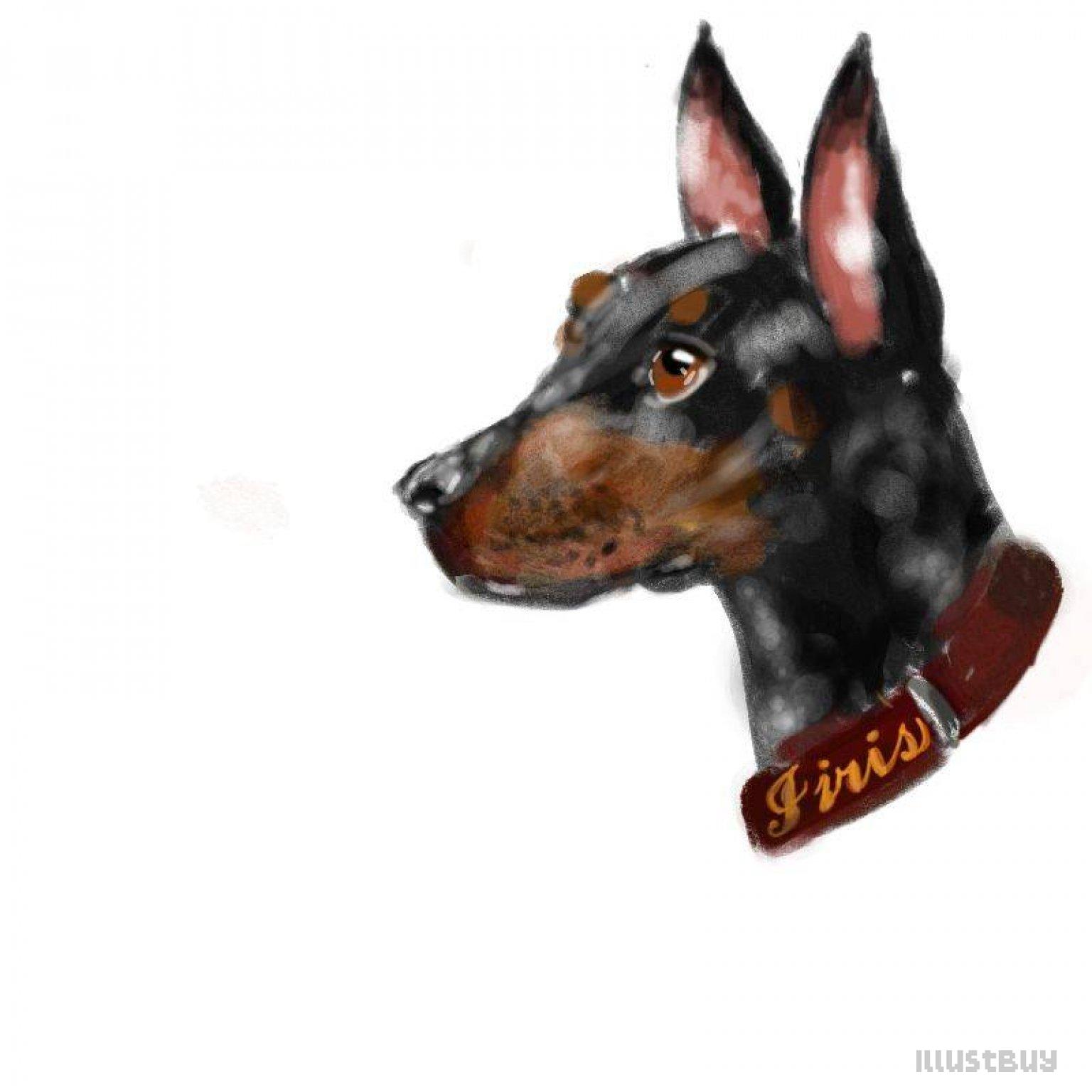 人物與動物繪圖