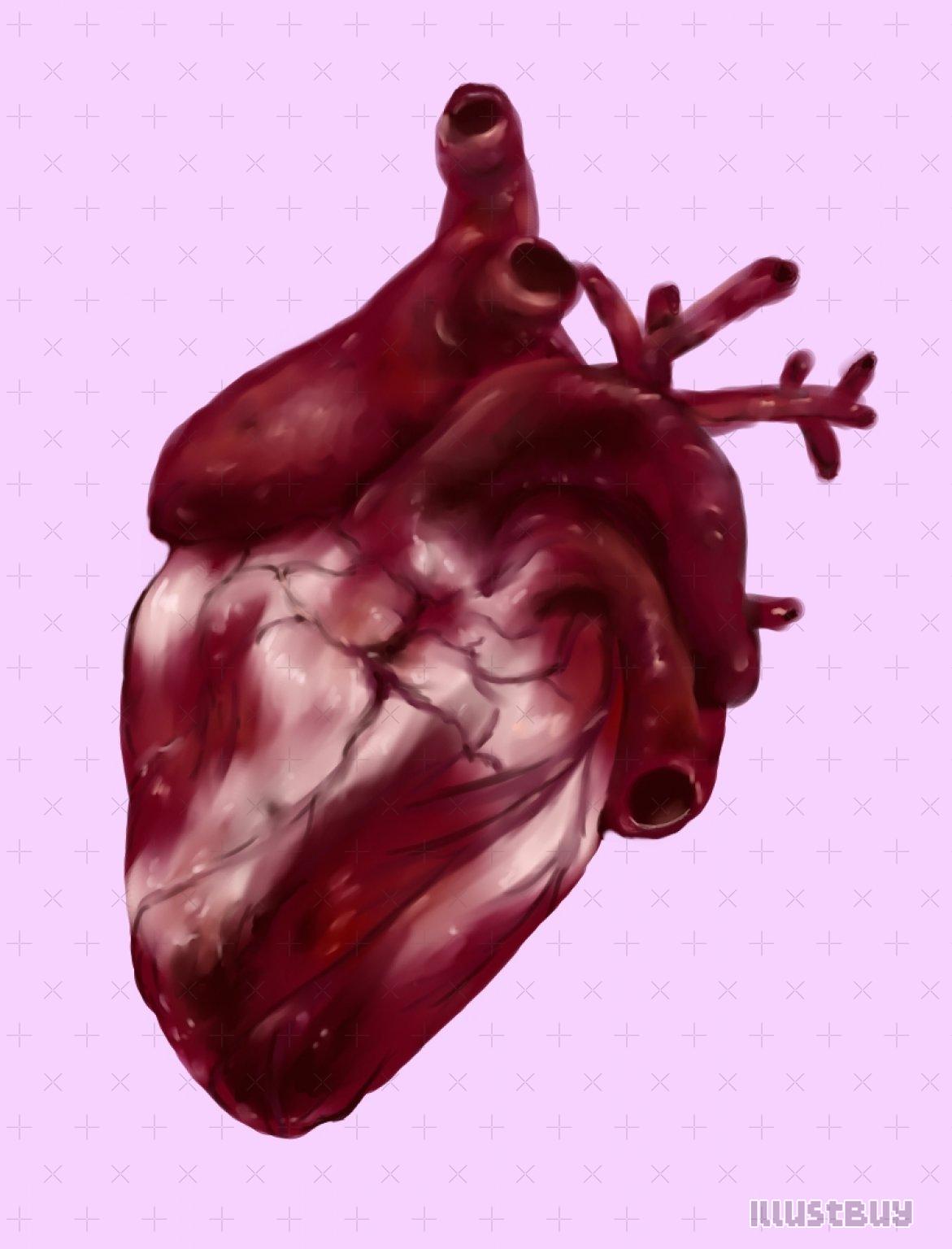 heart