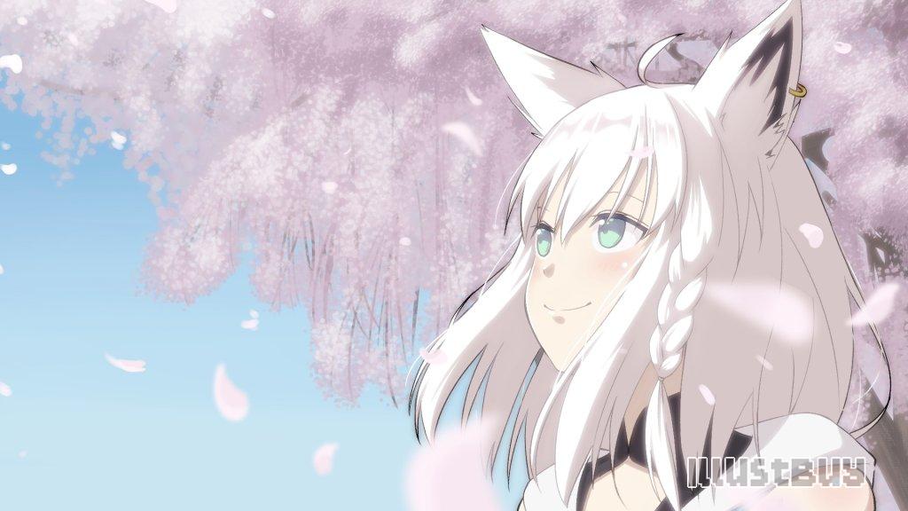 白上と桜